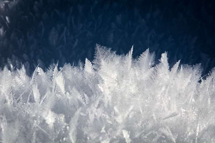 Close-up of delicate ice crystals in winter