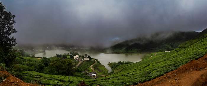 Panoramic view of a misty lake surrounded by tea plantations