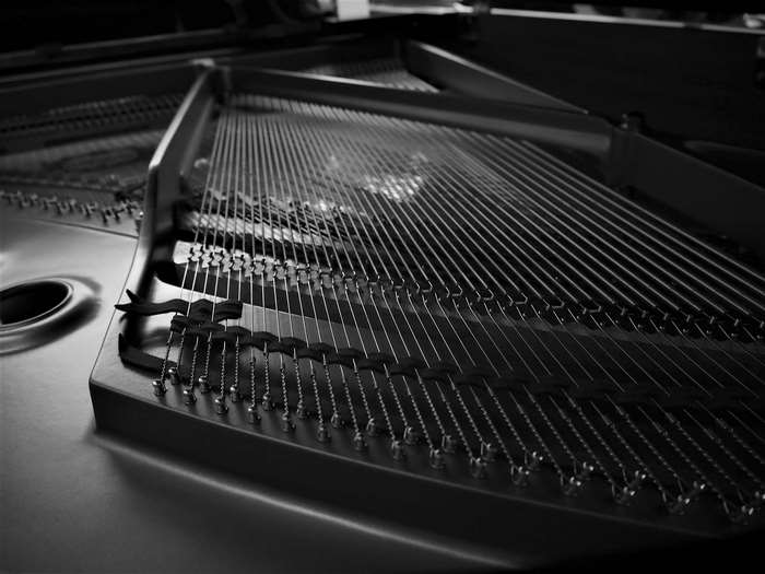Close up of piano strings and soundboard