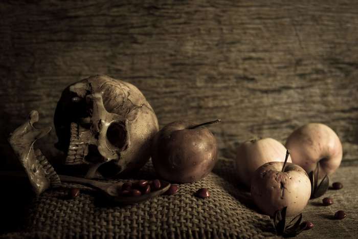 Still life with skull, apples, and seeds