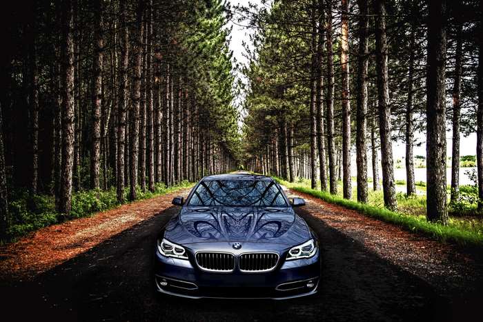 Blue BMW car on a forest road