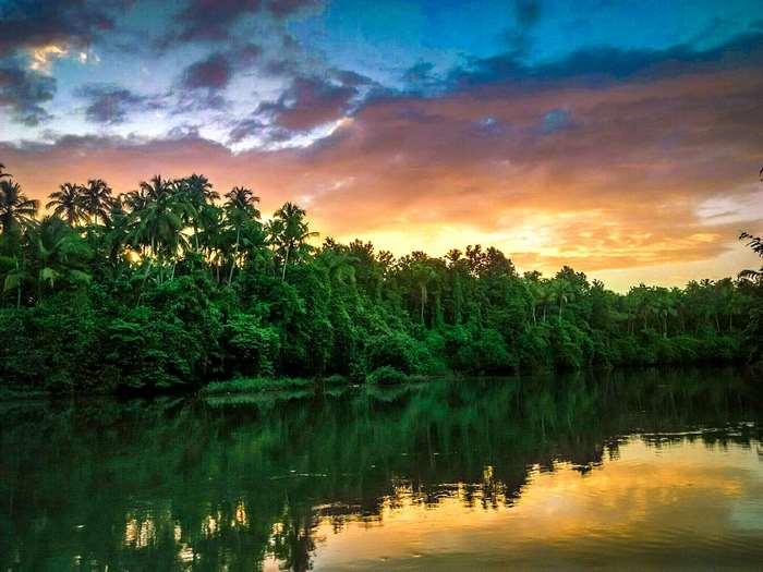 River and trees at sunset