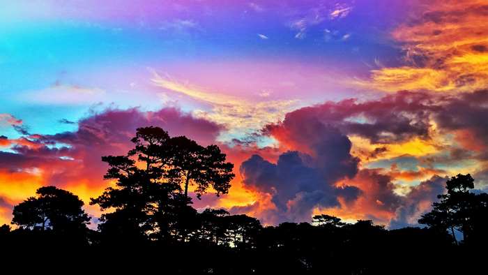 Colorful sunset sky over silhouetted trees