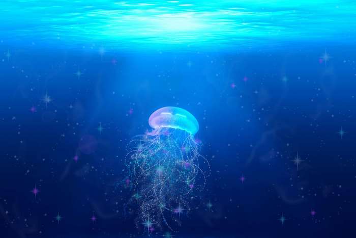 Glowing Jellyfish in Deep Blue Ocean