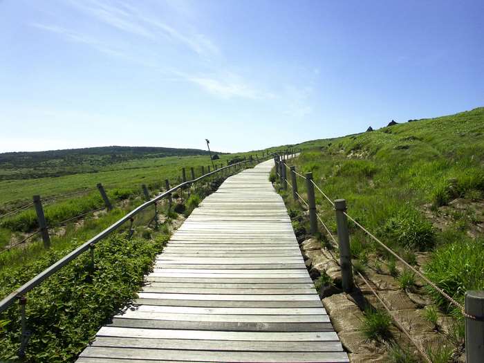 Wooden boardwalk on a grassy mountain trail on Jeju Island