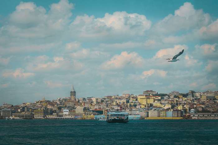 Galata Tower and Ferry in Istanbul with Seagull