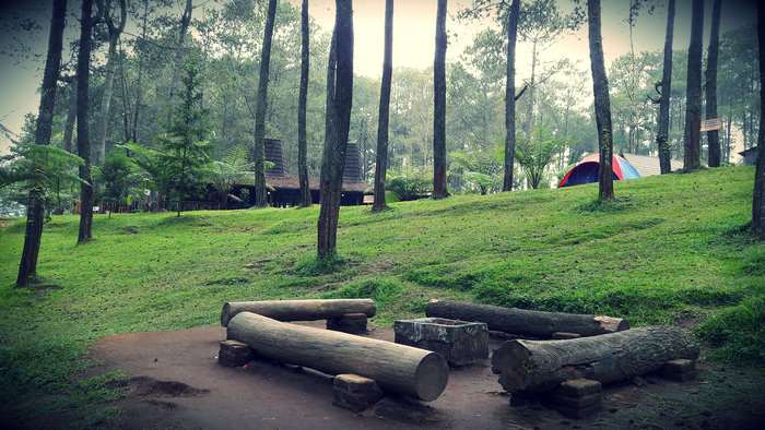 Camp in a forest with tents and log benches