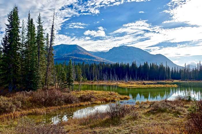 Mountain lake with evergreen forest and blue sky
