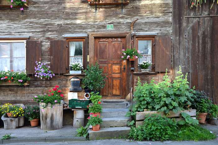 Rustic wooden house with flowers and plants