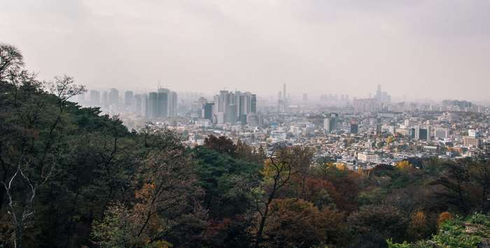 Seoul cityscape with skyscrapers and trees in fog