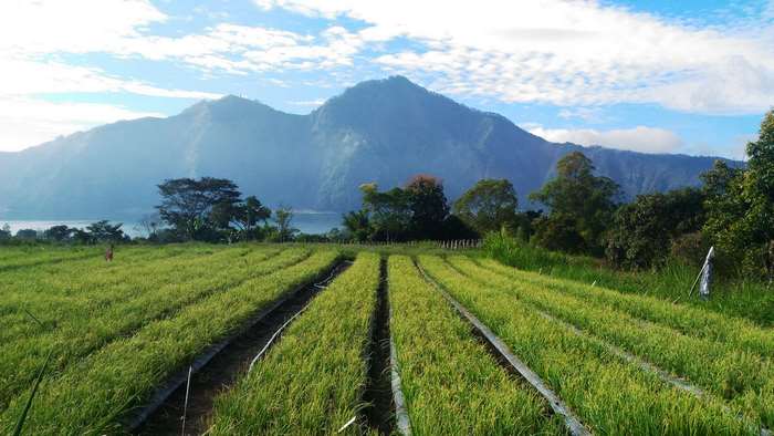 Farm fields with mountains and lake in the background