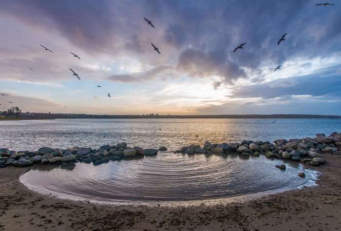 Birds flying over a calm sea at sunset with rocks on the shore