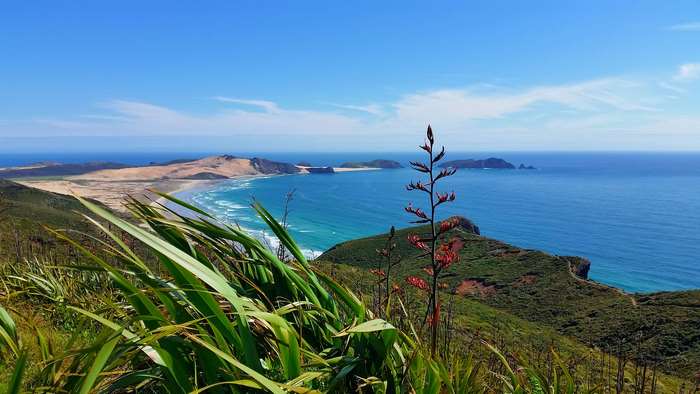 Serene Coastal View with Green Hills and Blue Ocean