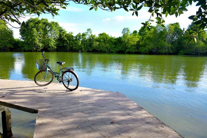 Bicycle on a wooden pier by a green river