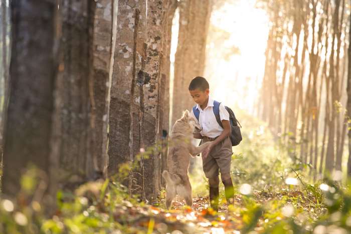 Boy with dog in a forest