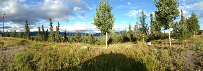 Panorama of Yukon landscape with trees and mountains