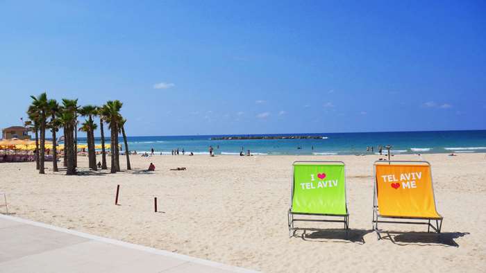 Tel Aviv Beach with Palm Trees and Lounge Chairs
