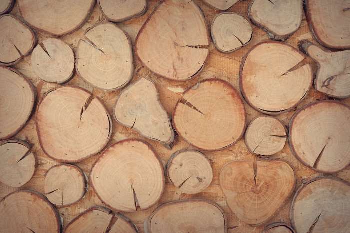Wood slices decoration surface texture wall 4K