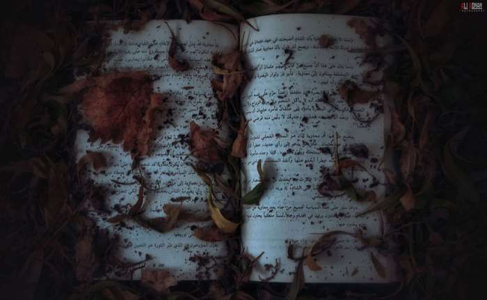 Open book with fallen leaves 4K