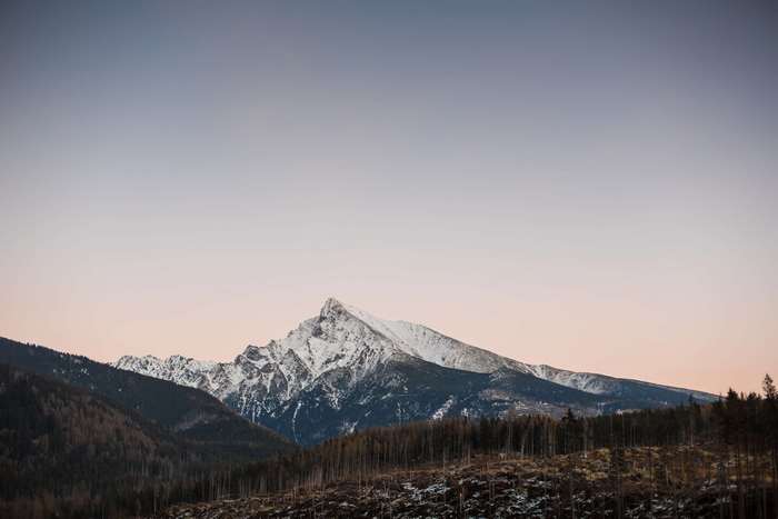 Snowy mountain peaks at dawn with forest in foreground