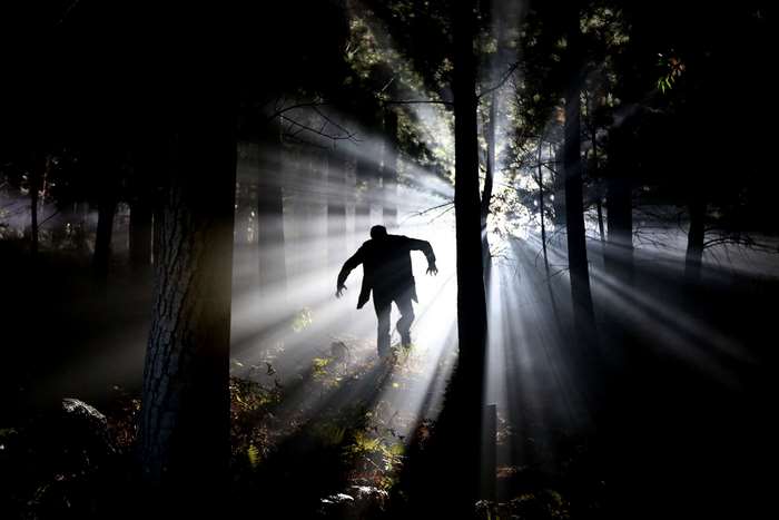 Silhouette of a person in a foggy forest with sunbeams