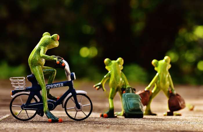 Frogs with luggage and a bicycle