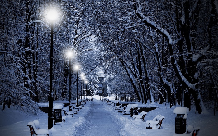 Snowy Park Pathway Illuminated by Streetlights at Night