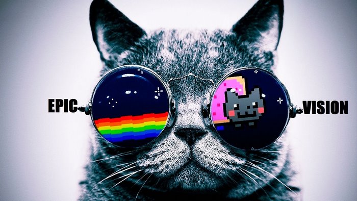 Cat wearing sunglasses with Nyan Cat and rainbow