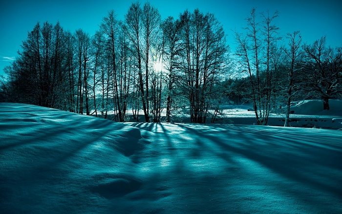 Snowy landscape with trees and sun