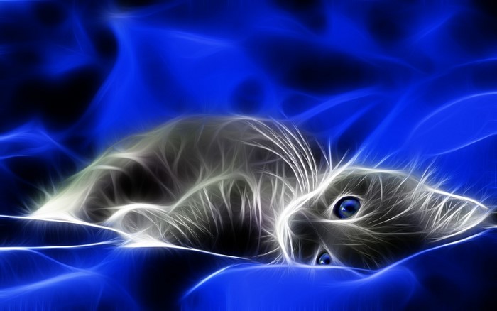 Glowing Blue Abstract Kitten Lying on Bed