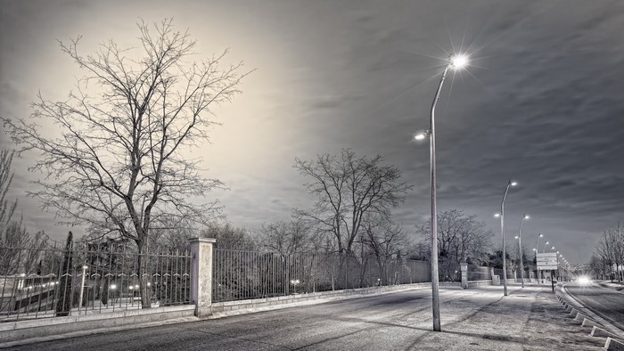 Street lights and bare trees at night