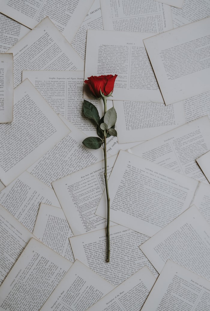 Red rose on scattered old books