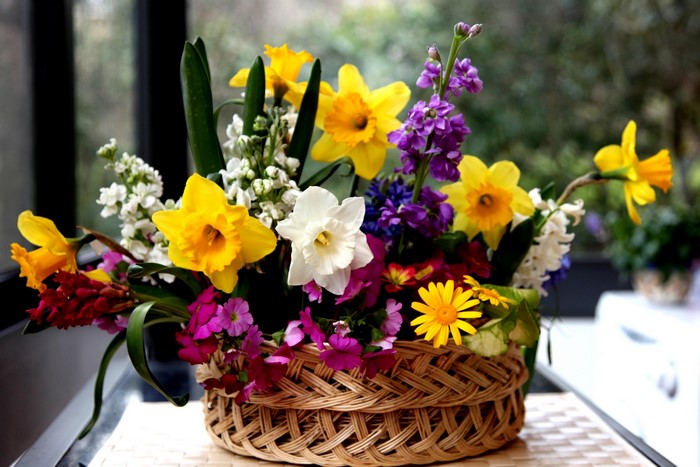 Basket of Daffodils and Spring Flowers