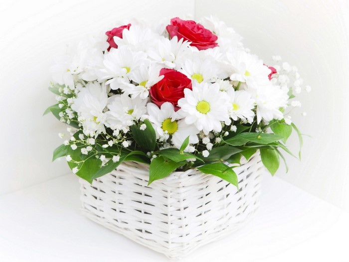 Basket of White Chrysanthemums and Red Roses with Gypsophila