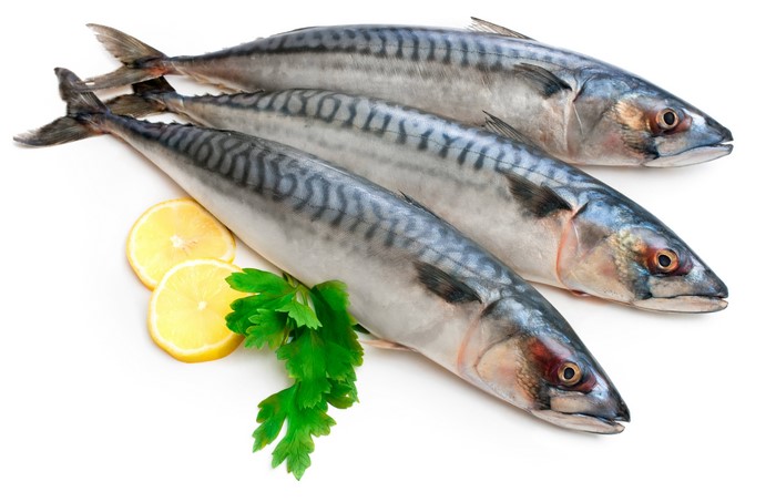 Three Mackerel Fish with Lemon and Parsley
