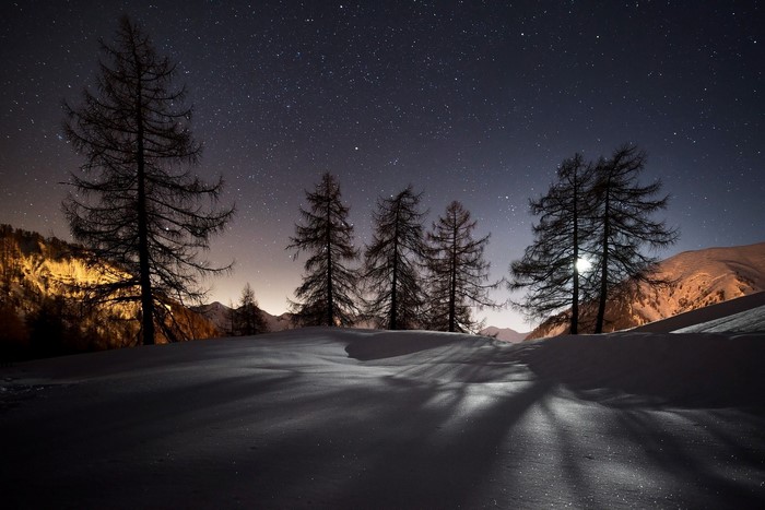 Winter night landscape with snow-covered ground and trees under a starry sky