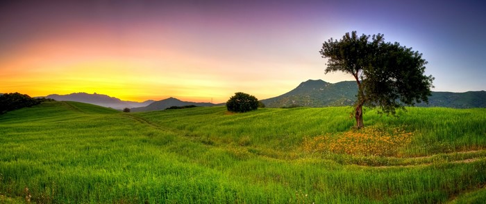 Serene Sunset Over Lush Green Meadow