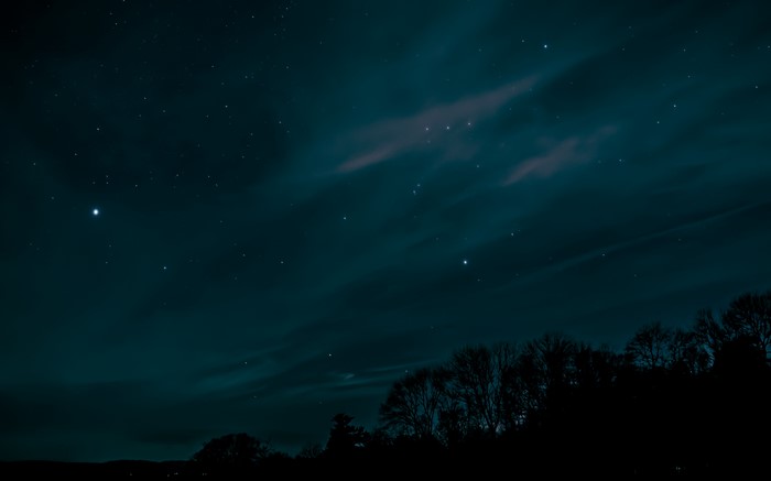 Night sky with stars and silhouetted trees