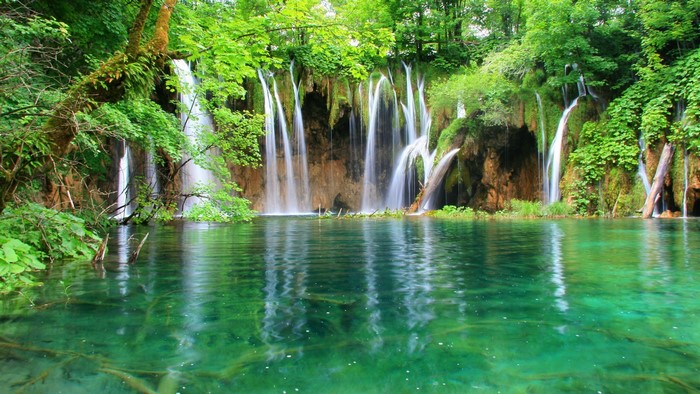 Serene Waterfalls in Lush Green Jungle