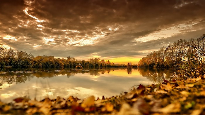 Autumn lake with cloudy sky and fallen leaves
