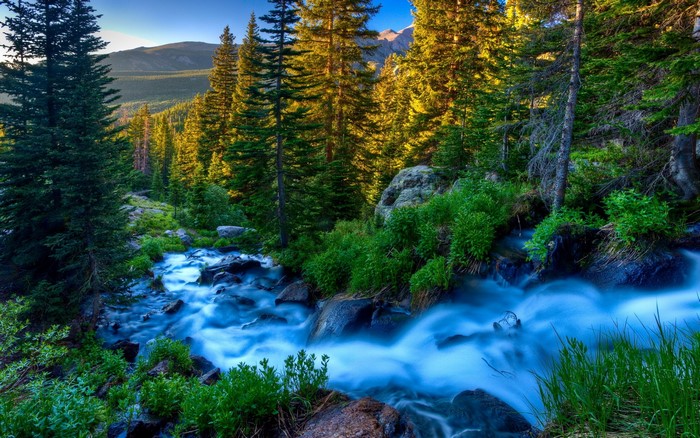 Peaceful Mountain Stream Flowing Through Forest at Twilight