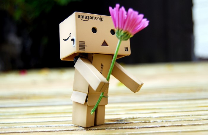 Danboard holding a pink flower