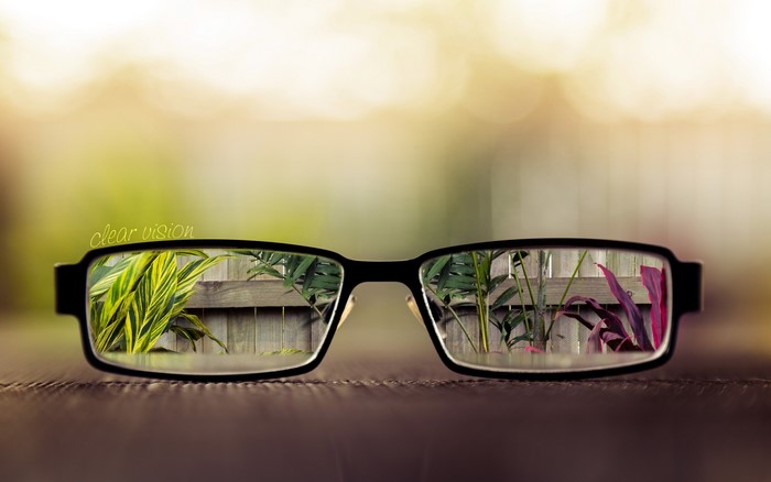 Glasses reflecting plants and a fence
