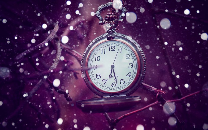 Pocket watch hanging on a branch