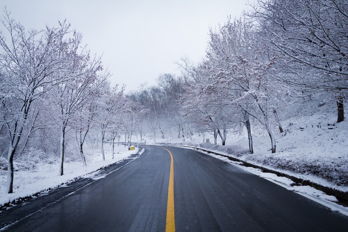 Snowy road with trees in winter