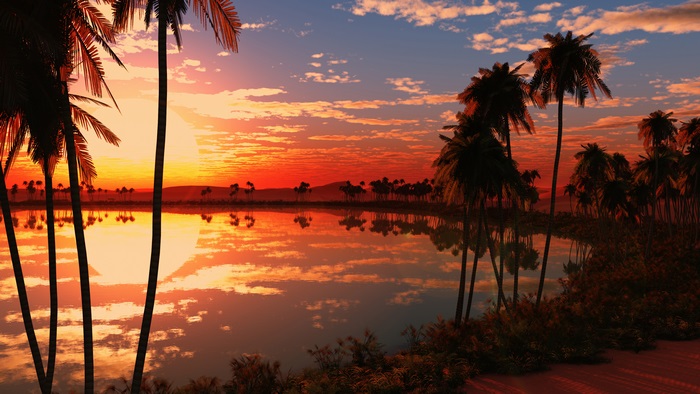 4K Sunset over Lake with Palm Trees