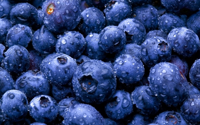 Close-up of fresh blueberries with water droplets