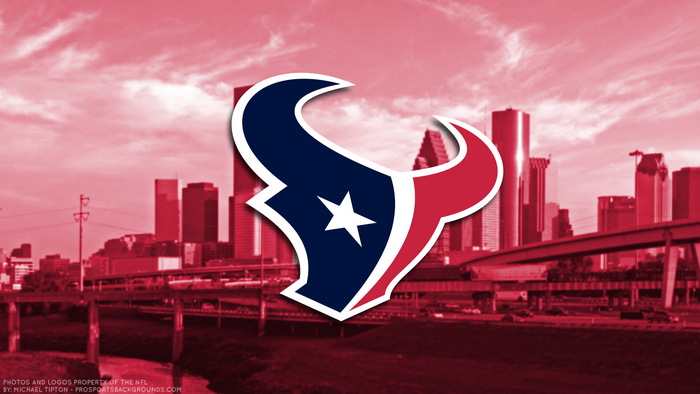 Houston Texans NFL Logo with City Skyline