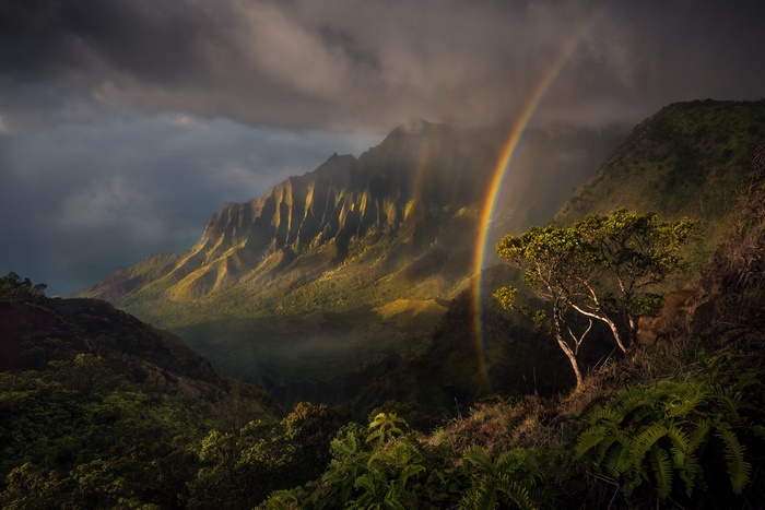 Rainbow over a mountainous rainforest landscape