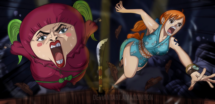 Nami and Shinobu from One Piece fighting